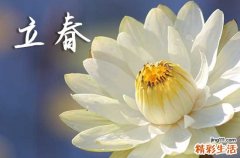 立春是几月几号2024年