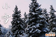 2023年小雪是从几月几日几点几分开始的