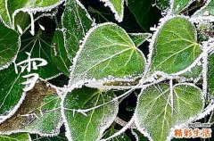 2023小雪节气能洗澡吗 小雪节气不可以做的事情有哪些