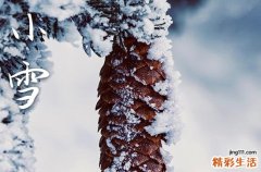 2023年小雪节气是哪天 2023年小雪节气是什么时候