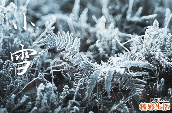 今日小雪时间是几点2023年 小雪是几月几2023年