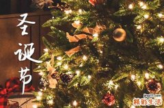 圣诞节优美句子大全