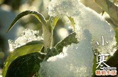 24节气小寒时节的禁忌