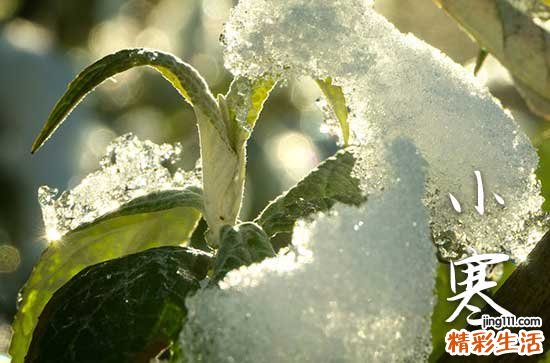 24节气小寒时节的禁忌