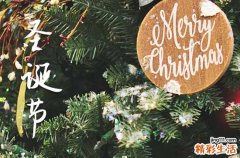 圣诞节语录句子大全