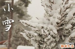 2023年小雪节气是几月几日