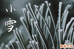 2023年小雪节气是哪天