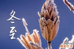 今年冬至几月几号2023年