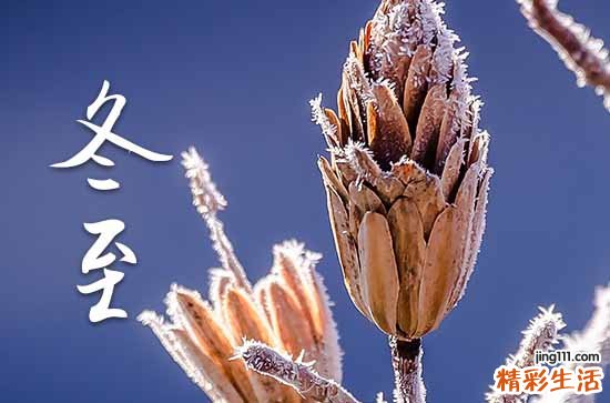 今年冬至几月几号2023年