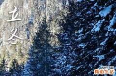 2023立冬是几月几号几点几分 立冬酿黄酒祈求福祉