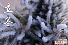 今年立冬是几月几日2023 立冬节气的由来和意义又是什么