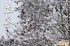 2023立冬佳节的短信祝福语 立冬佳节的祝福语