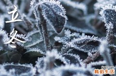 2023立冬是什么时候 2023年立冬节是哪一天