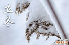 2023年立冬是几点几分几秒 2023立冬具体时间几点几分