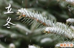 2023立冬穿什么衣服最合适 立冬的饮食养生之道