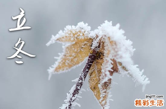 2023立冬数九还是冬至数九 2023一九是从立冬还是冬至开始
