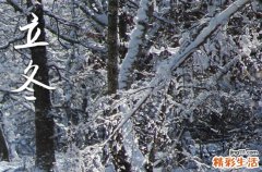 2023立冬以后温度是多少 2023年立冬后多久开始很冷