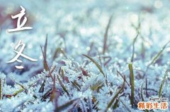 2023立冬冷吗 2023立冬以后就冷了吗