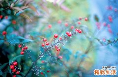 皮肤皲裂的用药指导