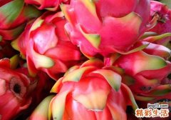 火龙果可以拌白糖吃吗 榴莲和火龙果可以一起吃吗