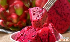 火龙果选什么样子的好 火龙果吃了有什么好处