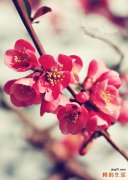 小脑萎缩是怎么回事？