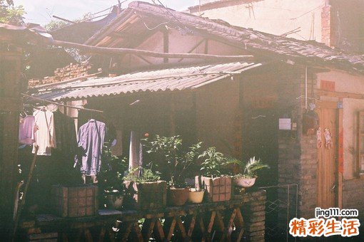 【长寿的秘诀】长寿的秘密