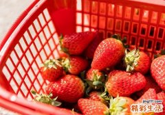 摘草莓怎么摘 草莓一天吃多少最合适