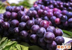 宝宝吃葡萄会拉肚子吗 宝宝吃葡萄拉肚子吃什么好