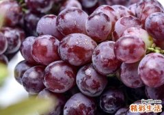 咳嗽可以吃葡萄吗 孕妇能不能吃葡萄