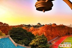 初次使用胰岛素护理须知