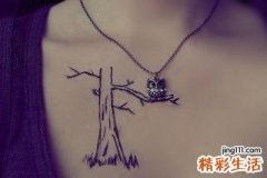 治疗失眠的中药
