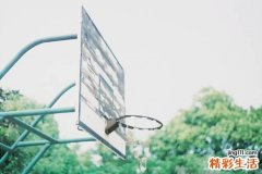 不可错过的冬瓜荷叶茶 减肥瘦身就这么简单