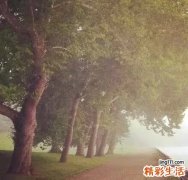 【为何父母教育不能分工】父母教育不能分工原因