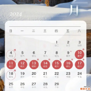 2024年放假安排出炉 2024年春节放假共8天