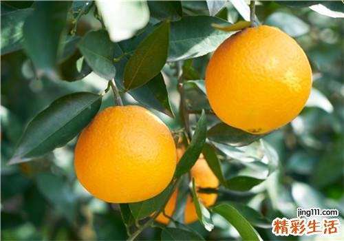 吃橙子有什么好处 甜橙功效与作用