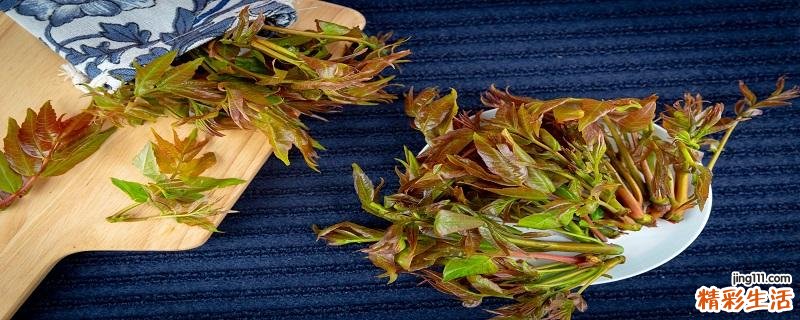 香椿可以晒干保存吗 香椿晒干的制作方法