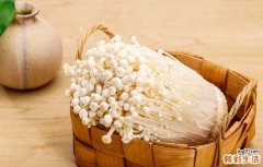 金针菇吃的时候要注意什么 为什么吃金针菇会有中毒的症状