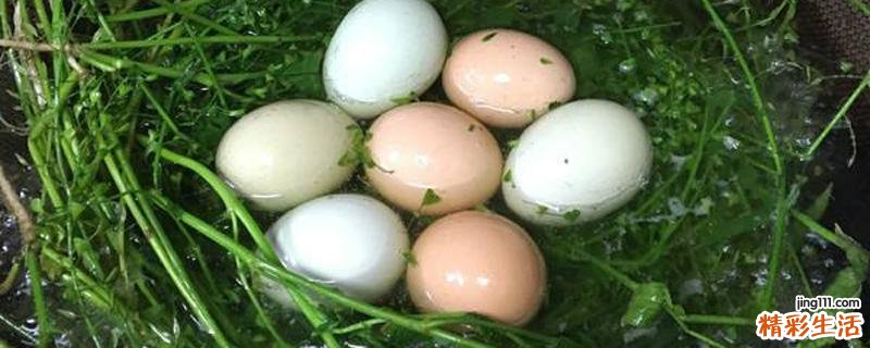 荠菜煮鸡蛋孕妇能吃吗 孕妇可以吃地菜饺子吗