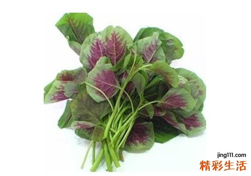 吃苋菜有什么好处