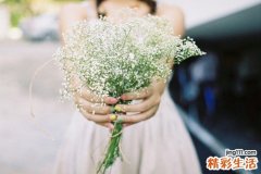 秋季减肥吃哪些食物超享瘦