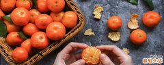 橘子能不能带上飞机 橘子可以和牛奶一起吃吗