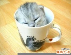 职场压力该怎样对待