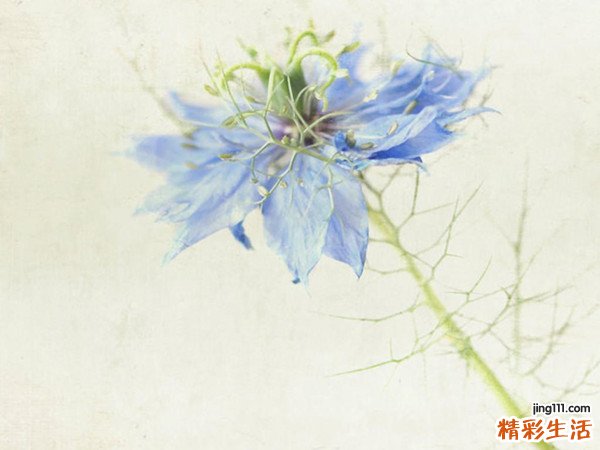 【让你的心灵安静下来】如何让你的心灵静下来
