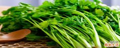 香菜可以冷冻保存吗 香菜能治高血压吗