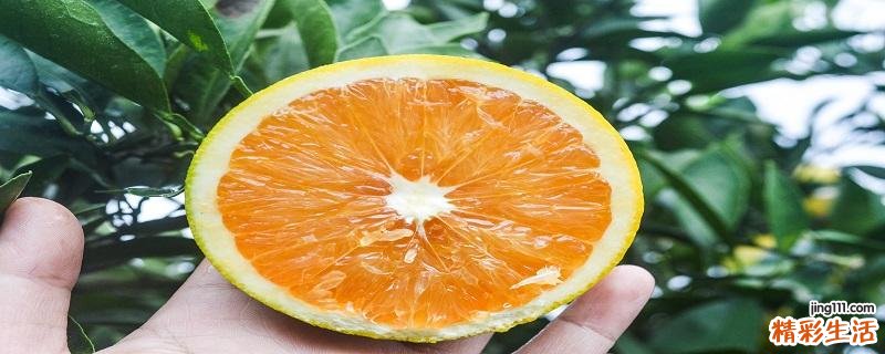 吃橙子可以减肥吗 橙子热量是多少