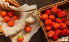 草莓有一点烂能吃吗 吃了烂的草莓会怎样