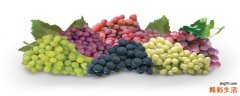 减脂可以吃葡萄吗 健身可以吃葡萄吗