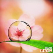 3 茅香根