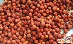 失眠吃什么好 酸枣仁这样吃